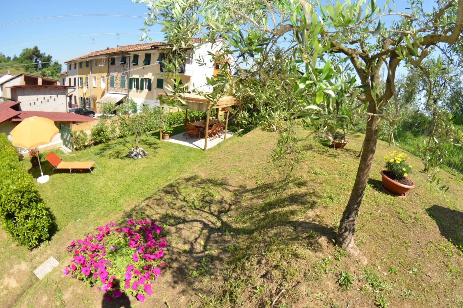 Piccola Margherita-Gardens summer
