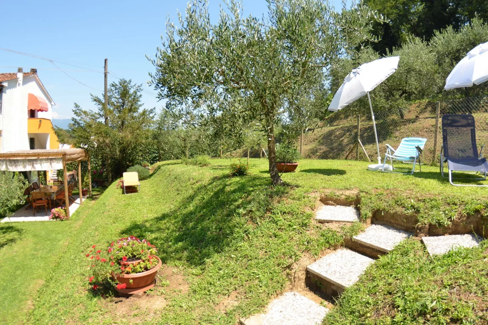 Piccola Margherita-Gardens summer