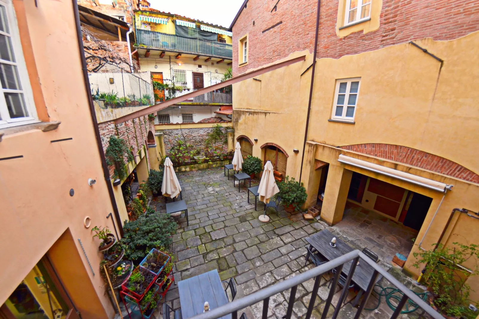 Anna Anfiteatro di Lucca-View summer