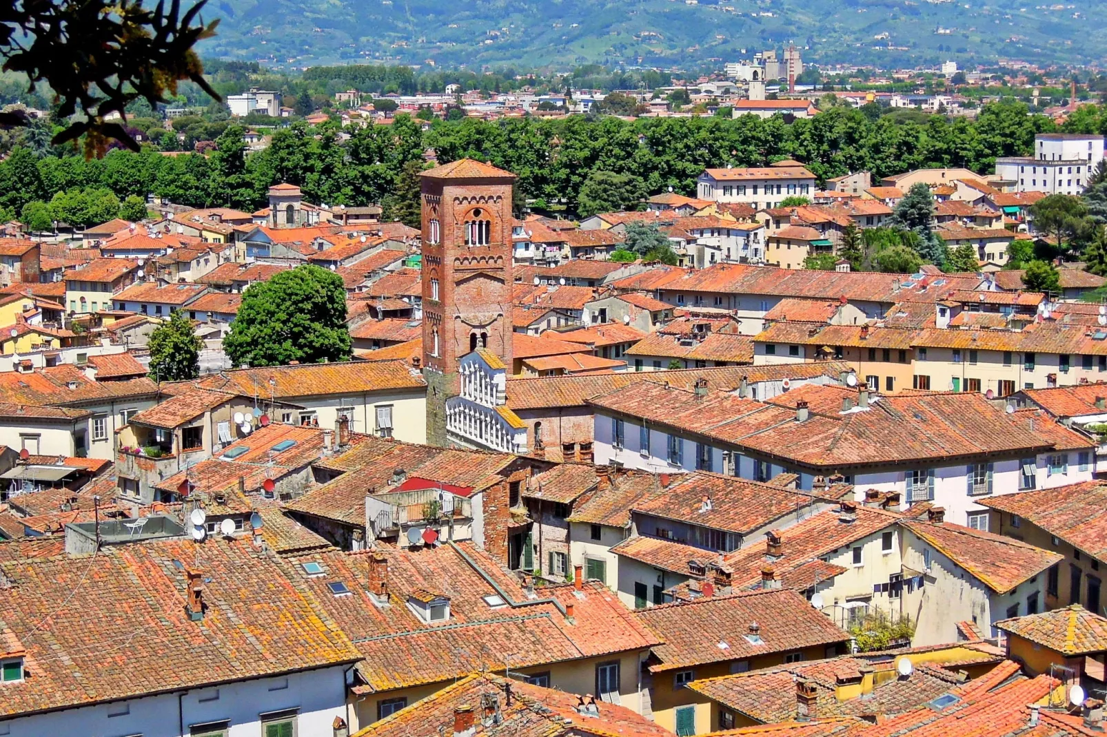 Anna Anfiteatro di Lucca-Areas summer 1km