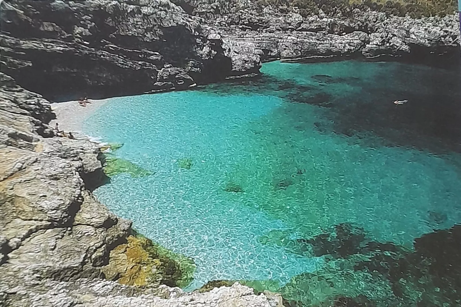 Villa La Marmora-Areas summer 5km