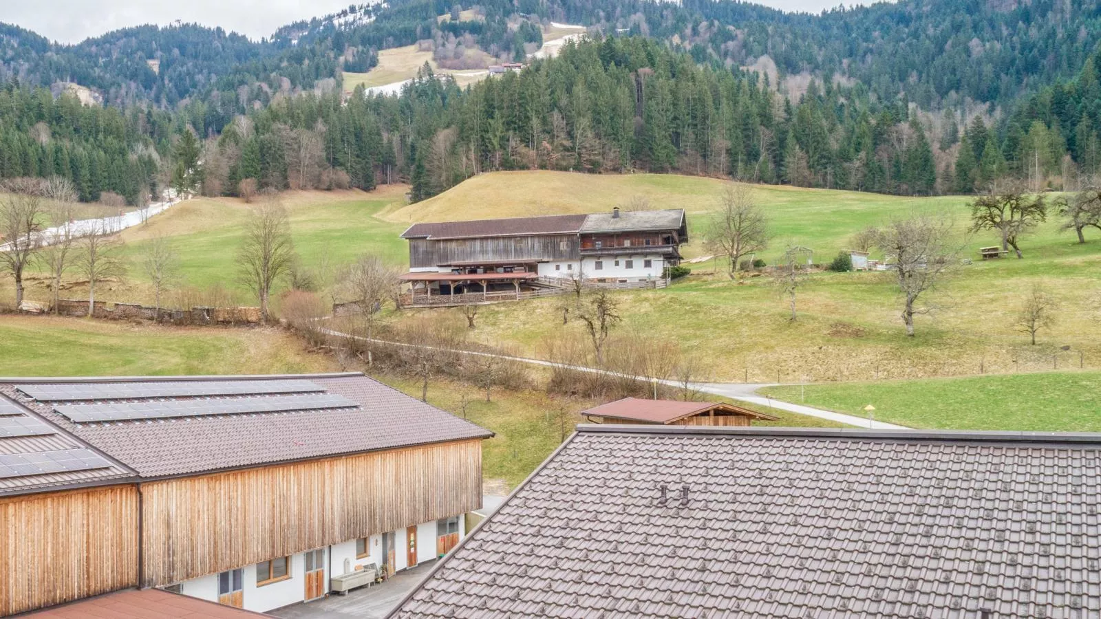 Litzlhof Kraftplatzl-Exterior summer