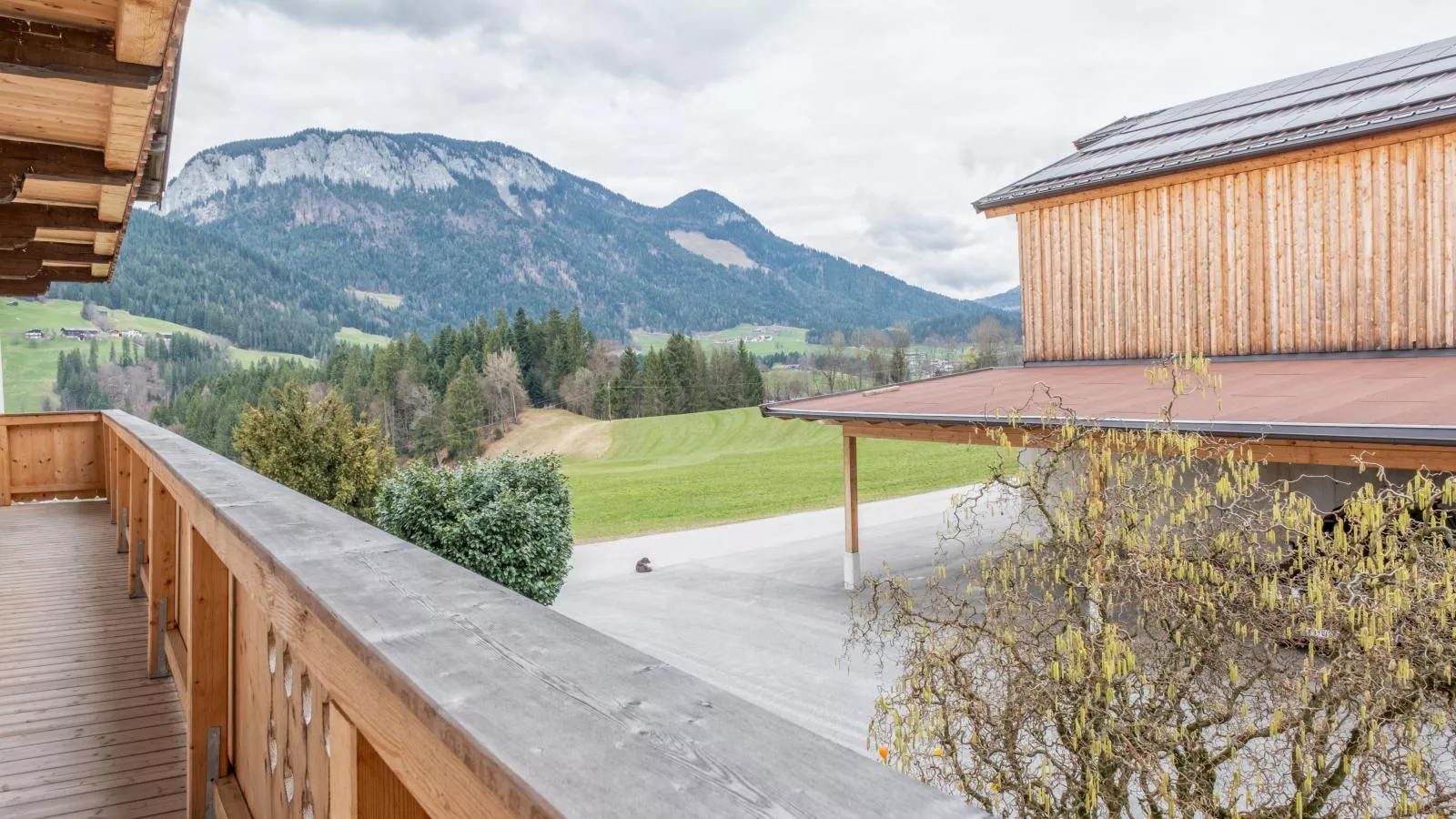 Kraftplatz am Litzlhof-Aussicht