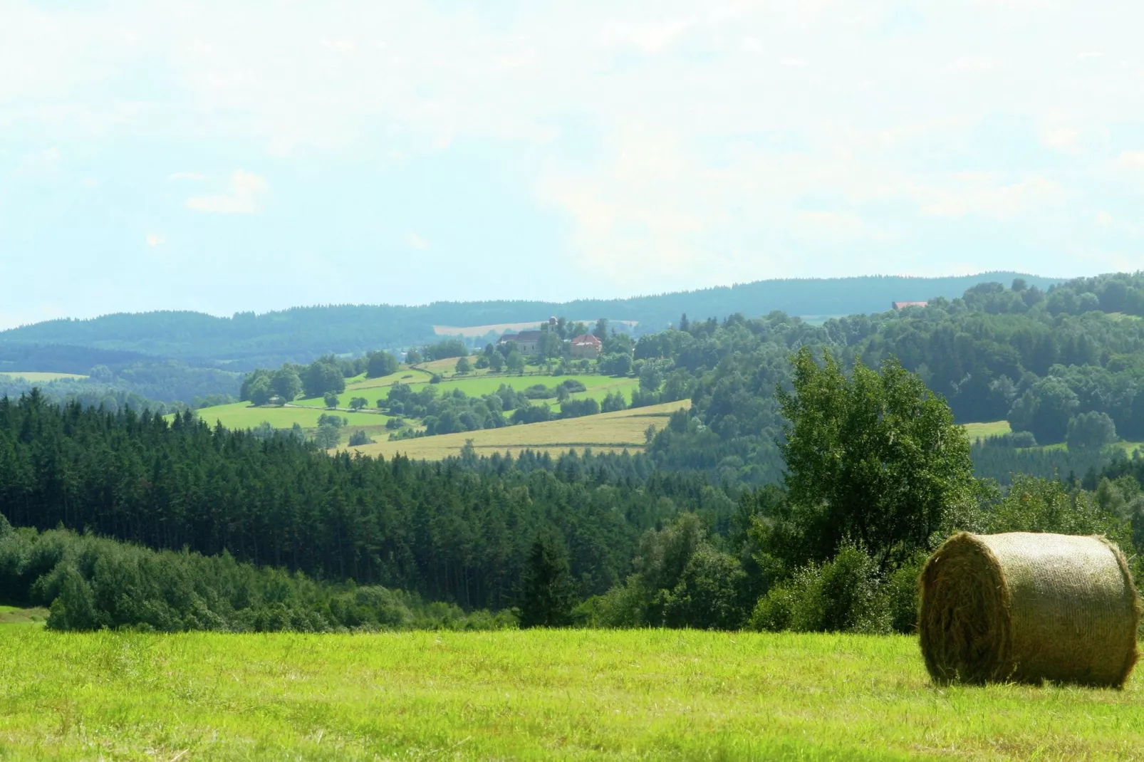 Borovice-Gebiete Sommer 1 km