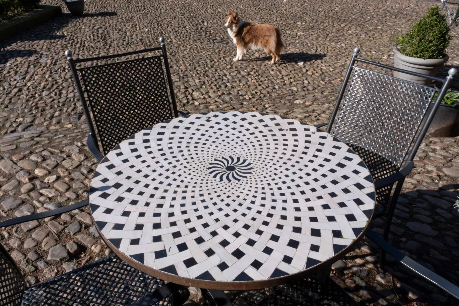 Meschermolen 9-Balcon-terrasse