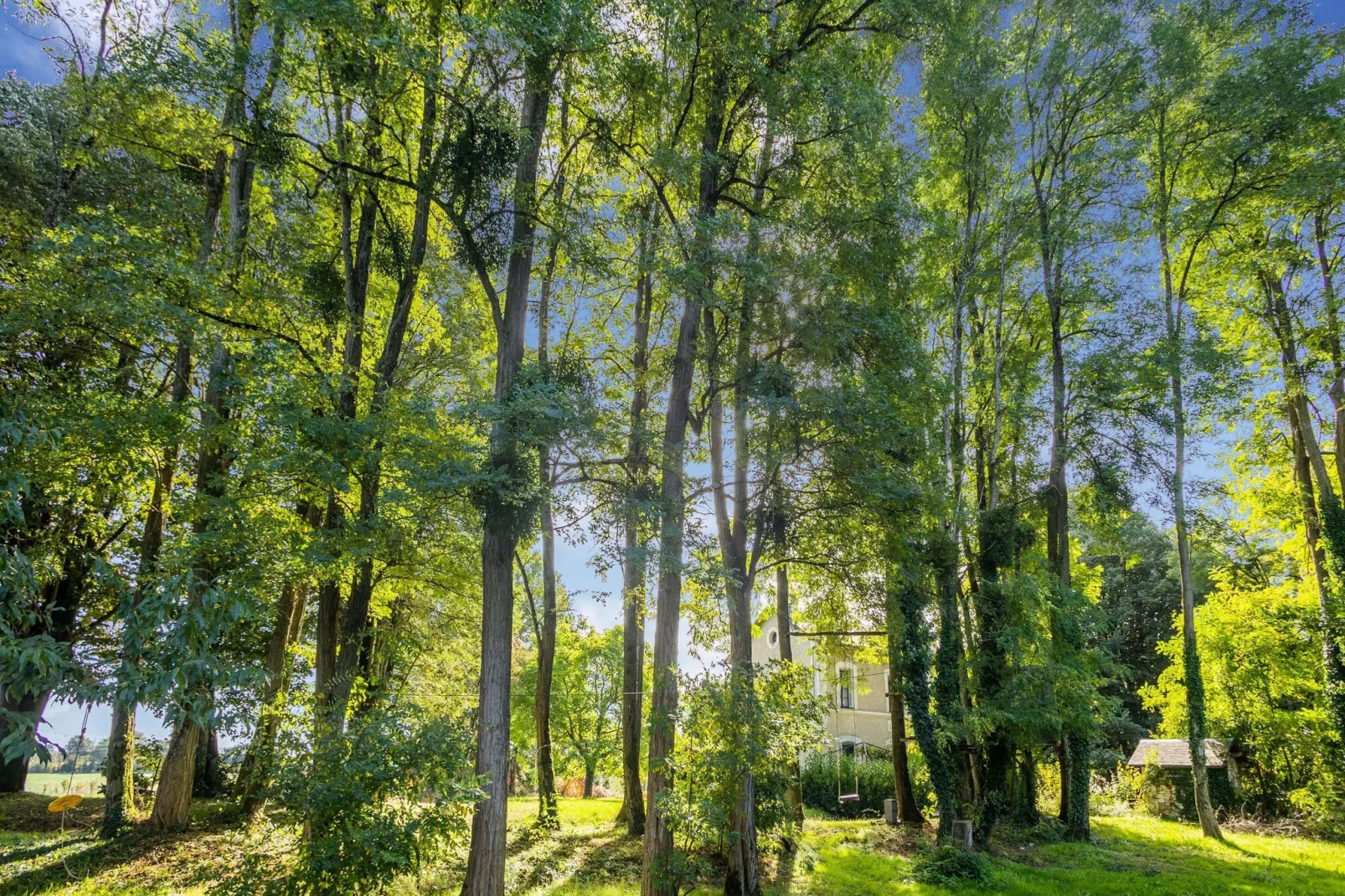 Station Liglet-Jardin d'été