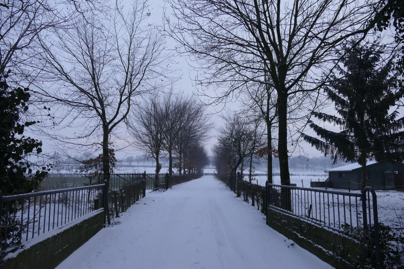 Meschermolen 10-Area winter 1km