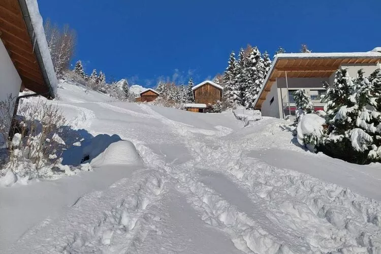 Björn-Exterior winter