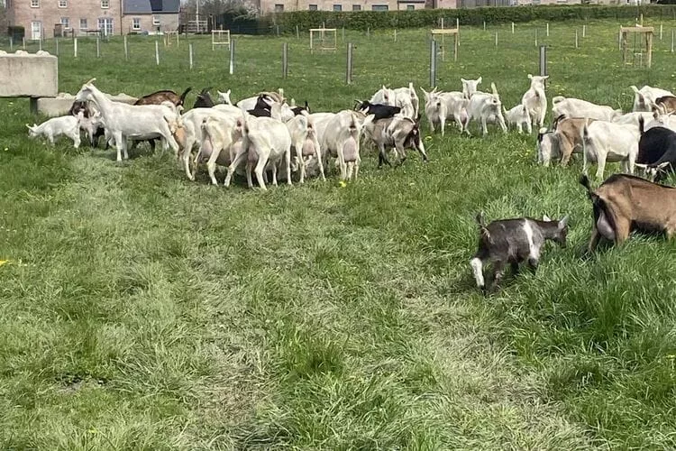 Au chant des grenouilles-Facilities