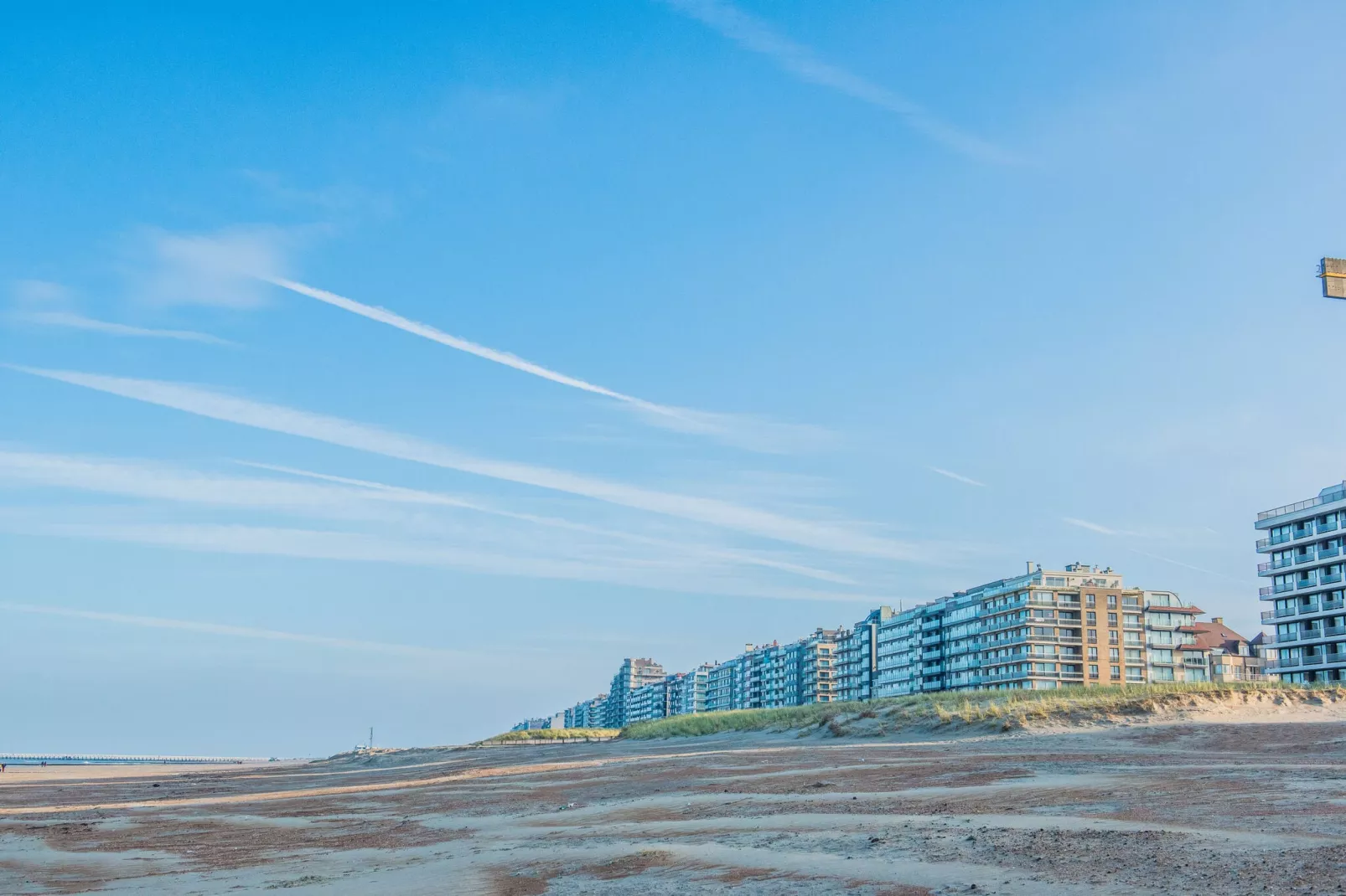 SEASIGHT A 1 / 0001-Areas summer 1km