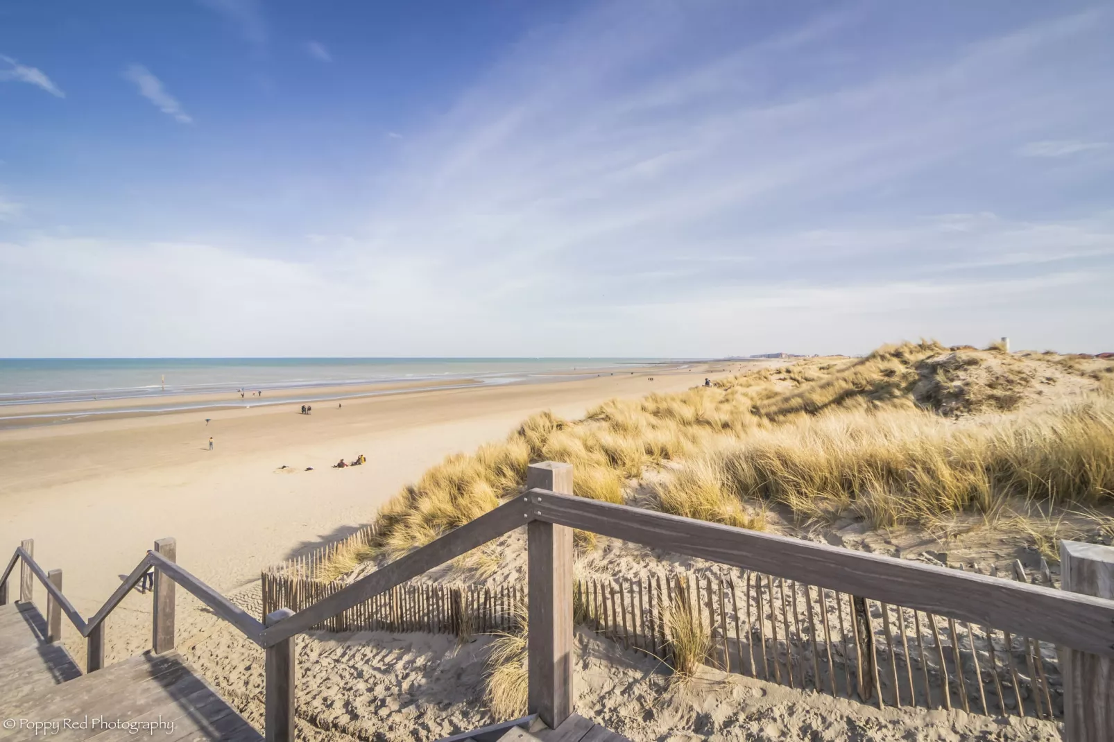 SEASIGHT A 1 / 0001-Areas summer 5km