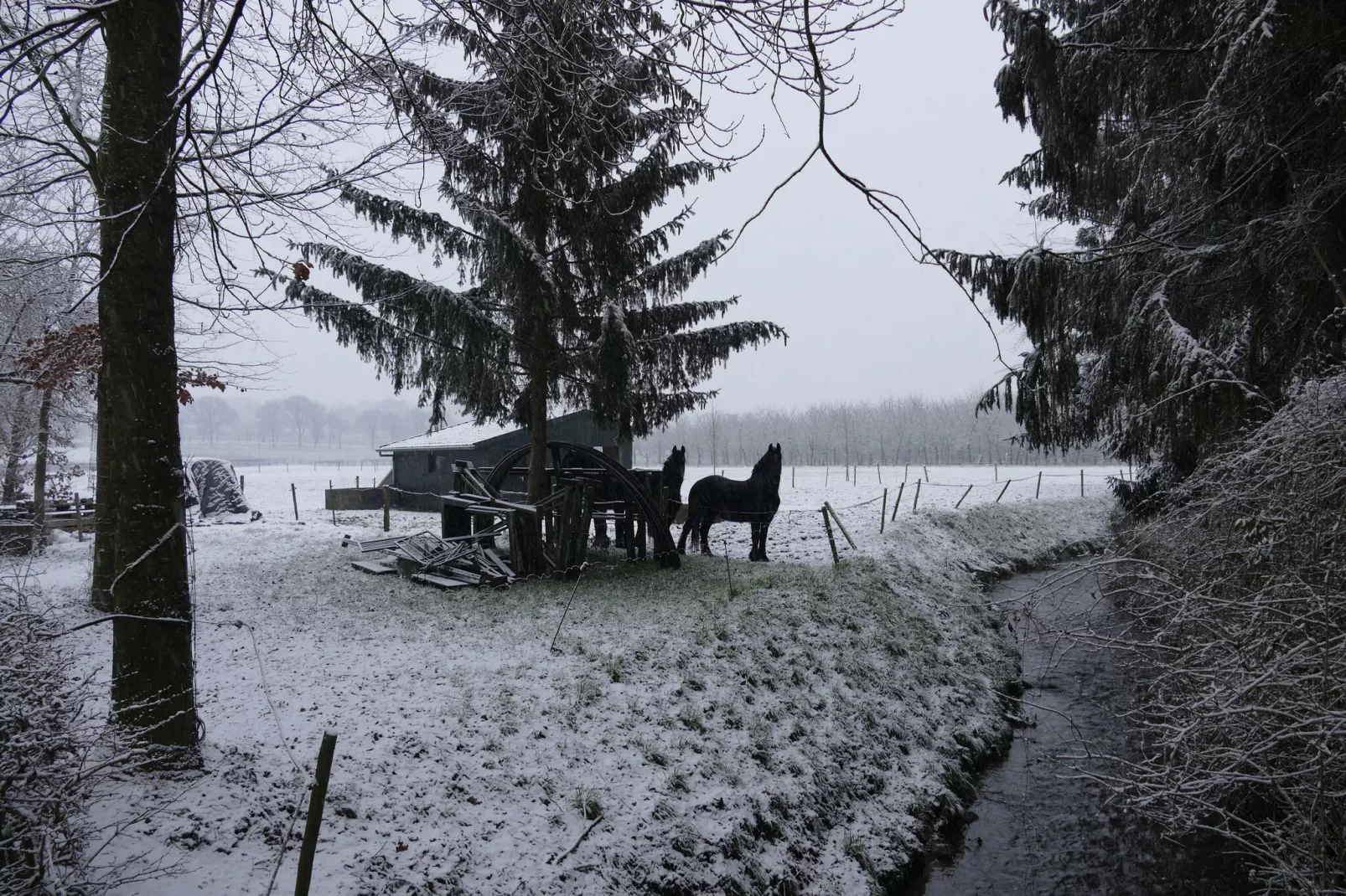 Meschermolen 10-Area winter 1km