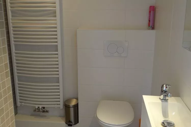 DE KWINTE 201-Bathroom