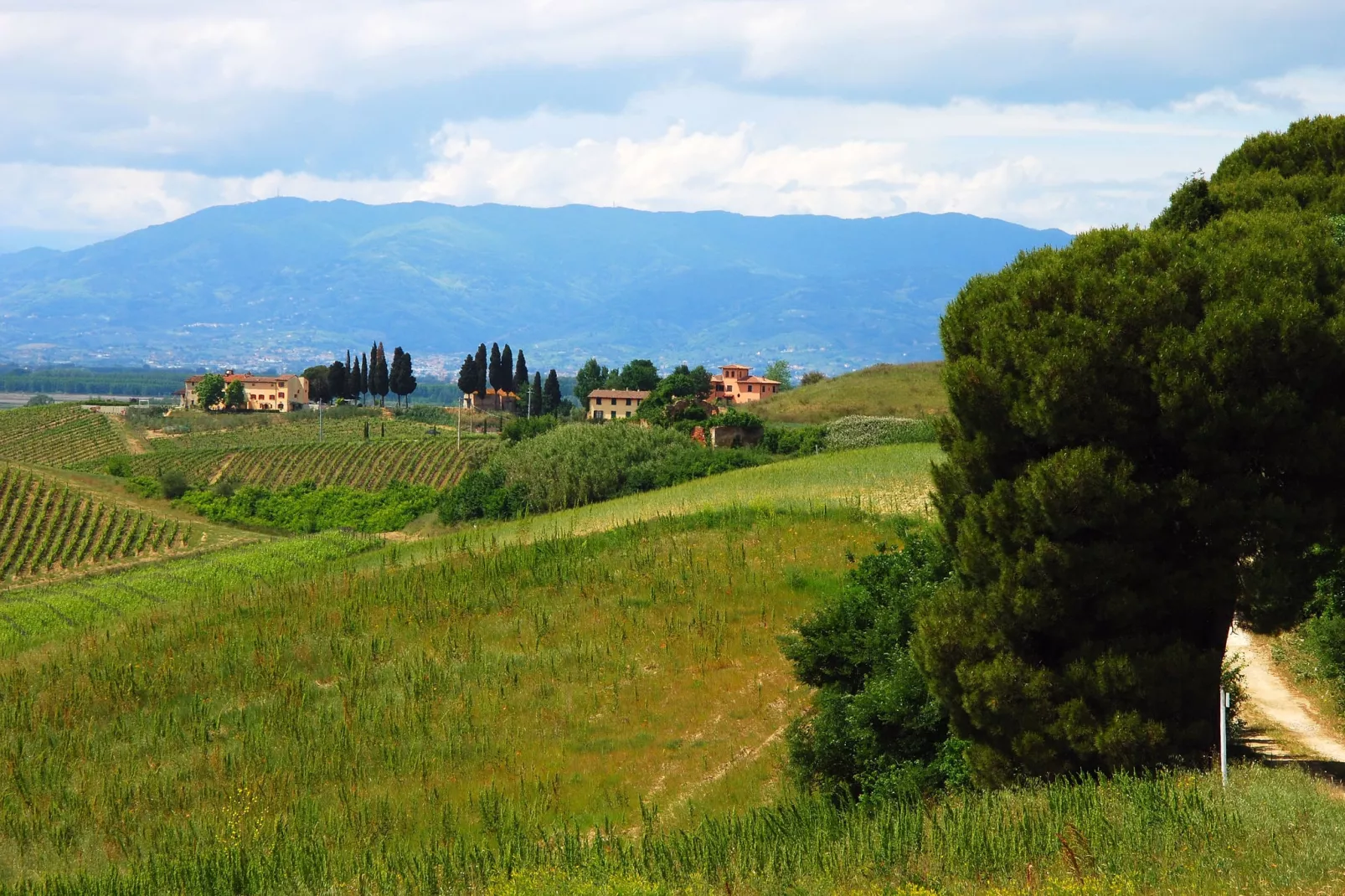 Torraccia 1-Gardens summer