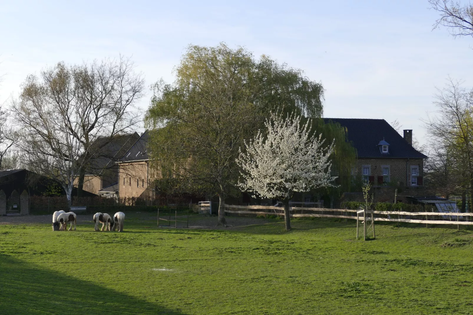 Meschermolen 10-Areas summer 1km