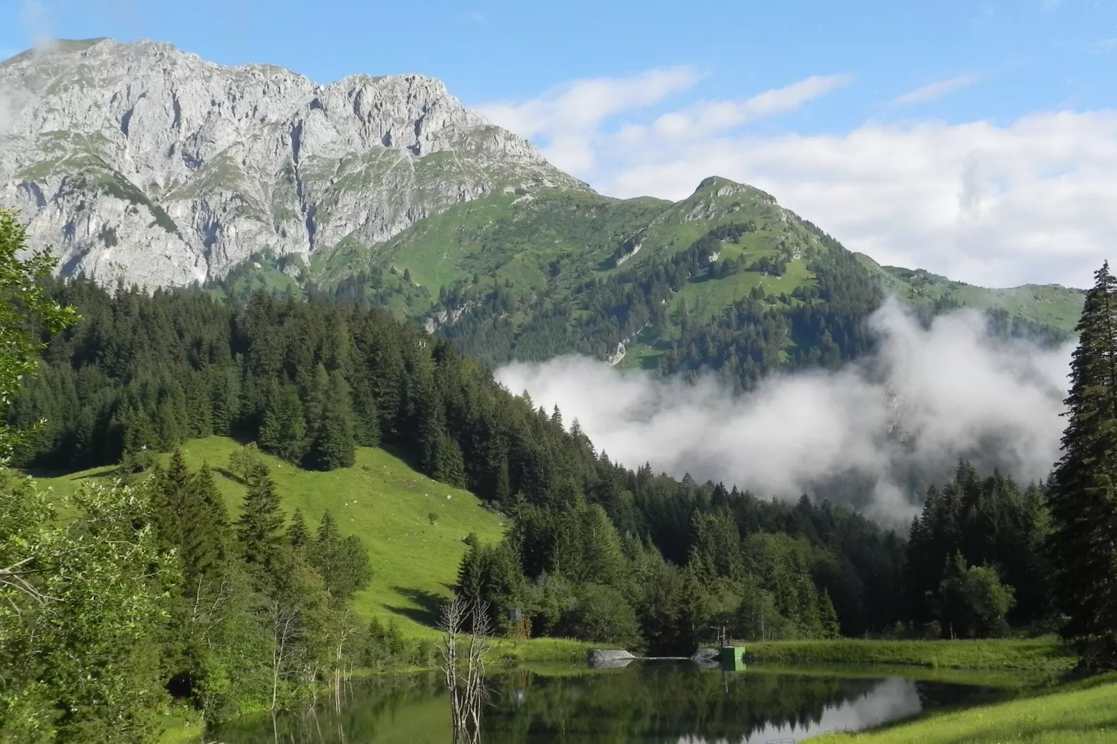 Apartment Tröpolach OG-Gebiete Sommer 5 km