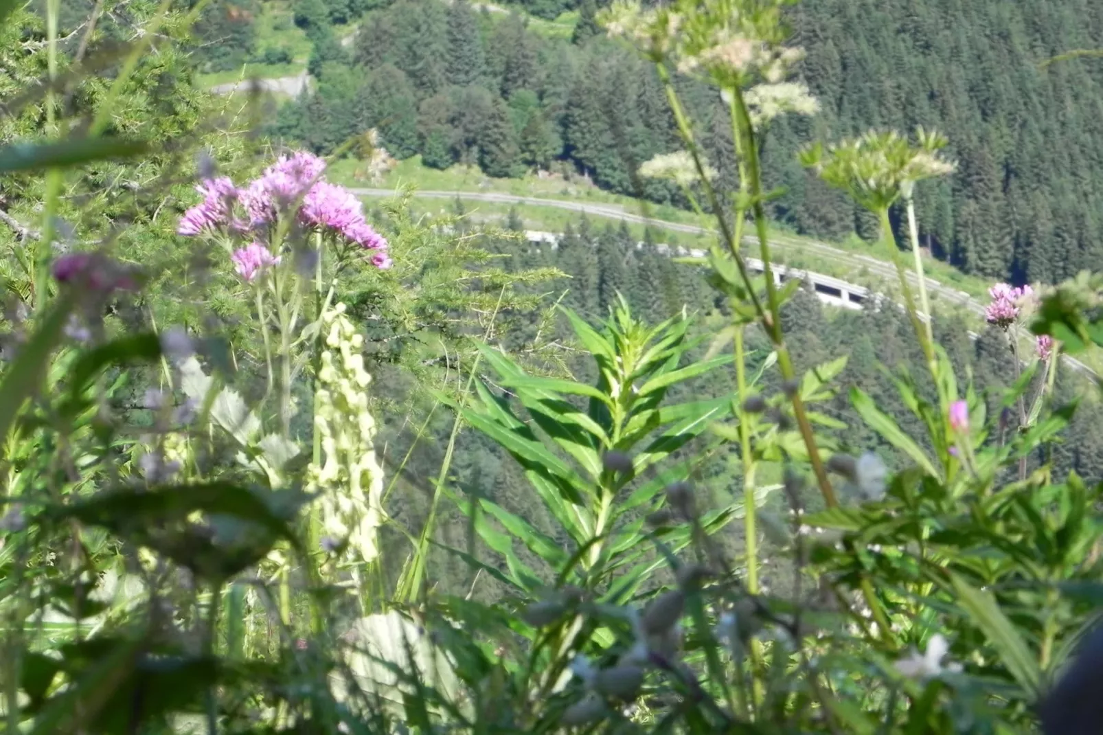 Apartment Tröpolach OG-Gebiete Sommer 5 km