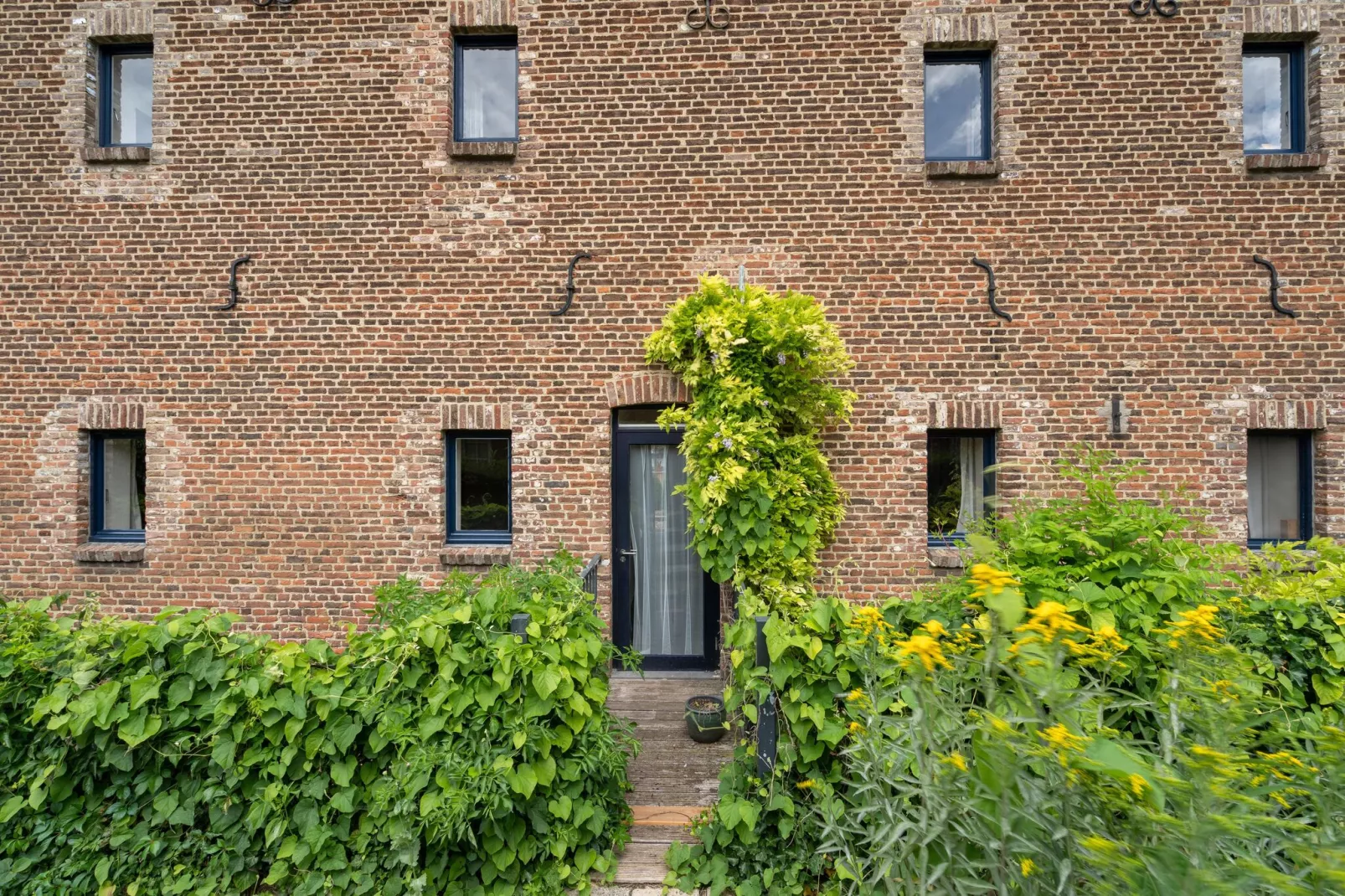 Meschermolen 6-Exterior summer