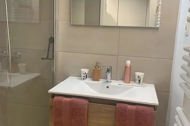 ZONNESTRAAL B 101-Badezimmer