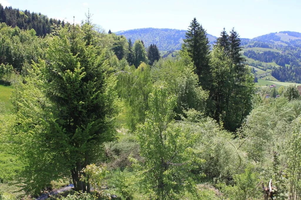 323712-View