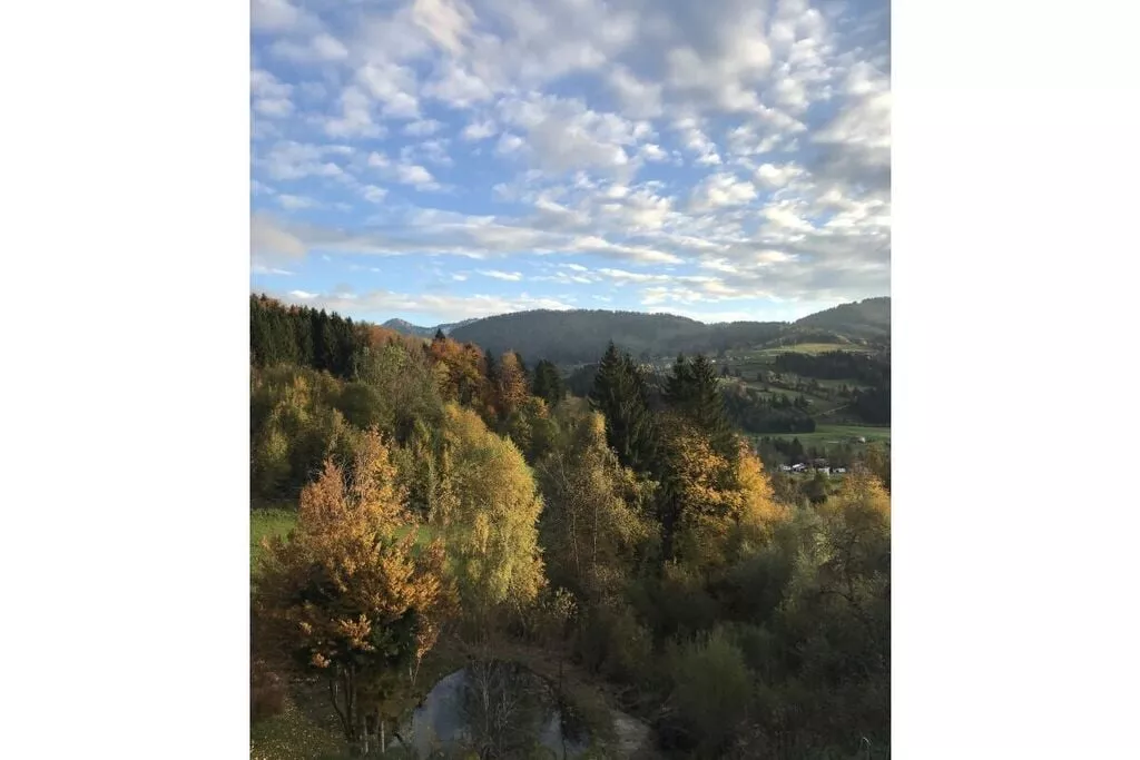 323712-View