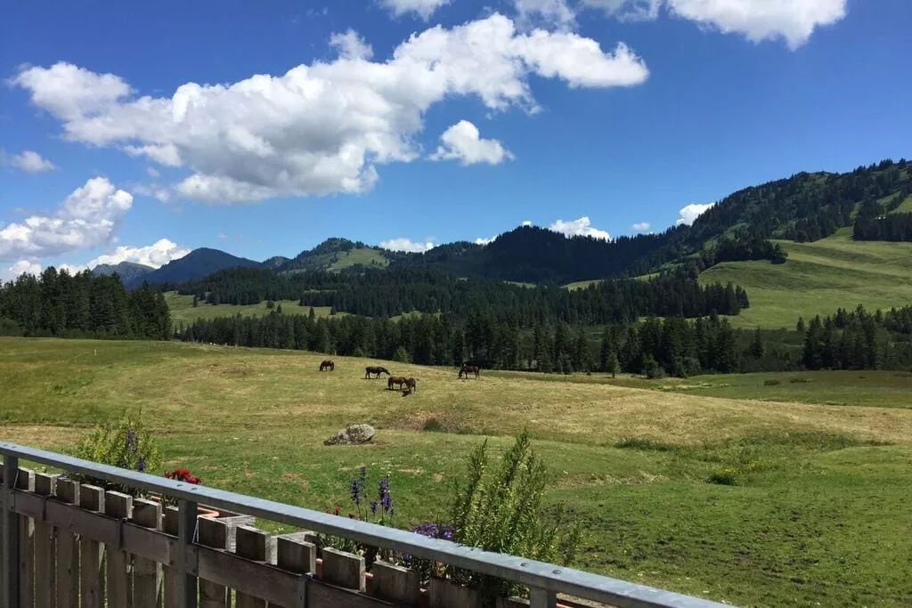 323712-View