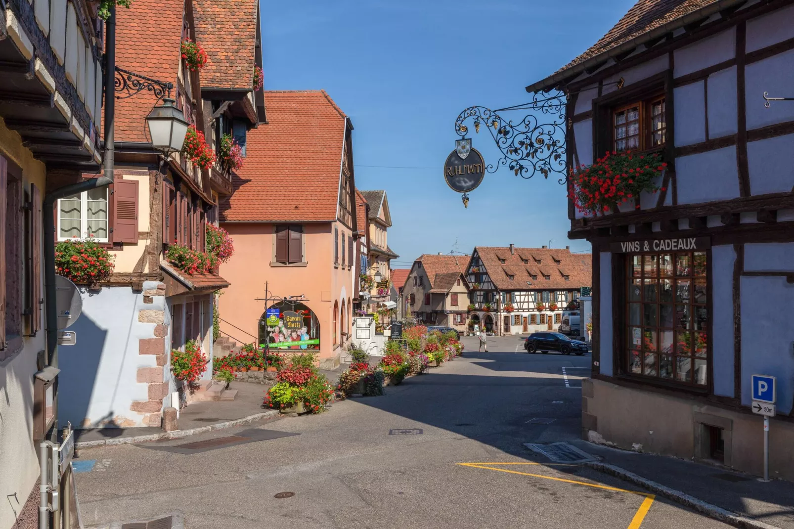 Magnifique Appartement Alsacien-Areas summer 1km