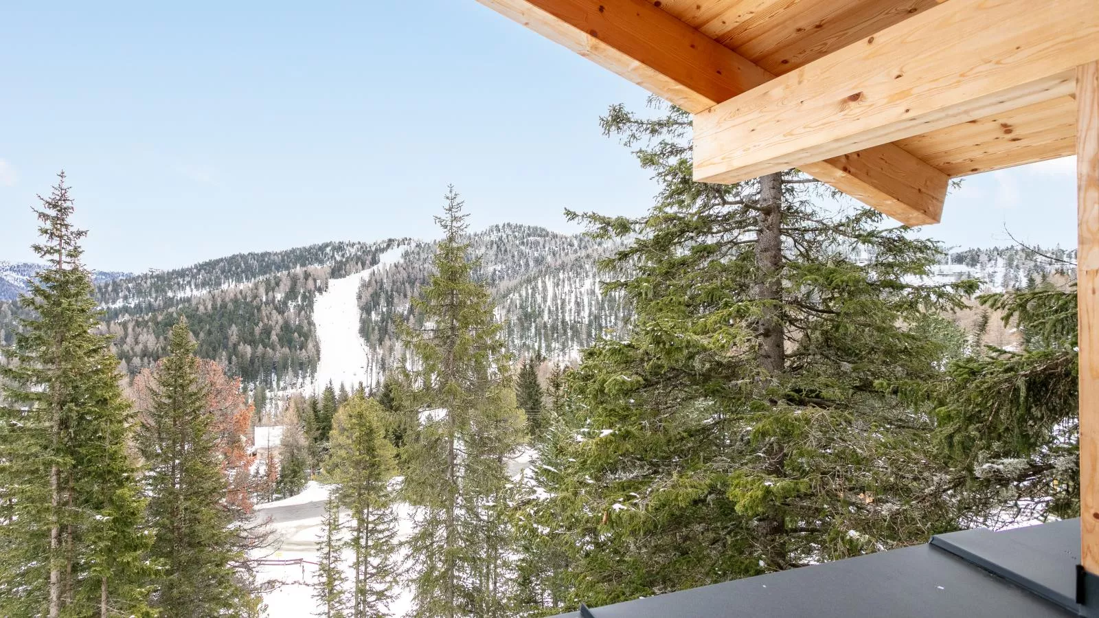 Vista Lodge-View winter