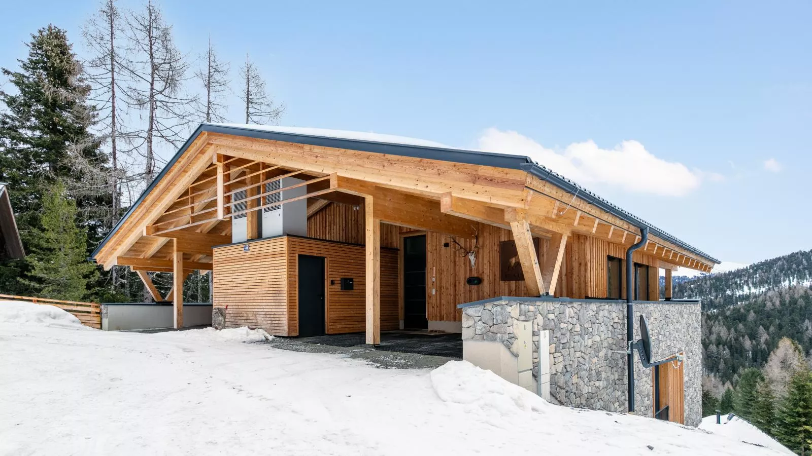 Ibex panorama Lodge-Exterior winter