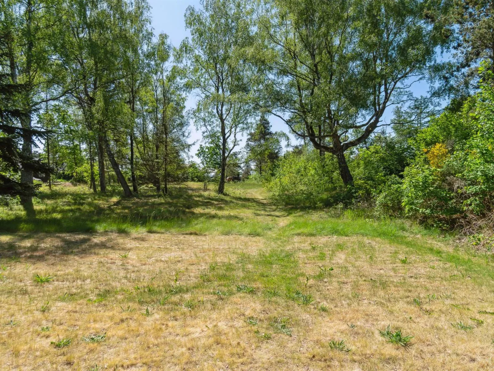 "Benja" - 150m from the sea-Outside