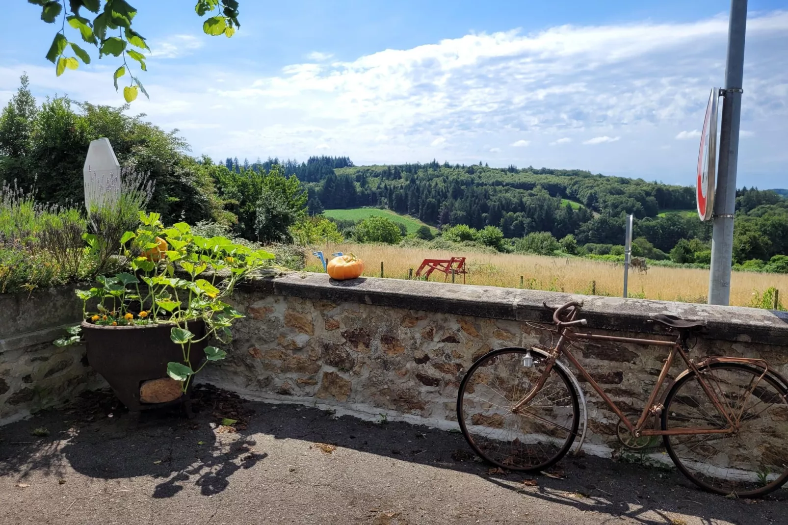 L'Ecole-View summer