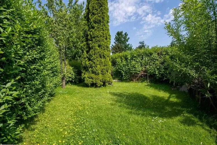 Kalle-Gardens summer