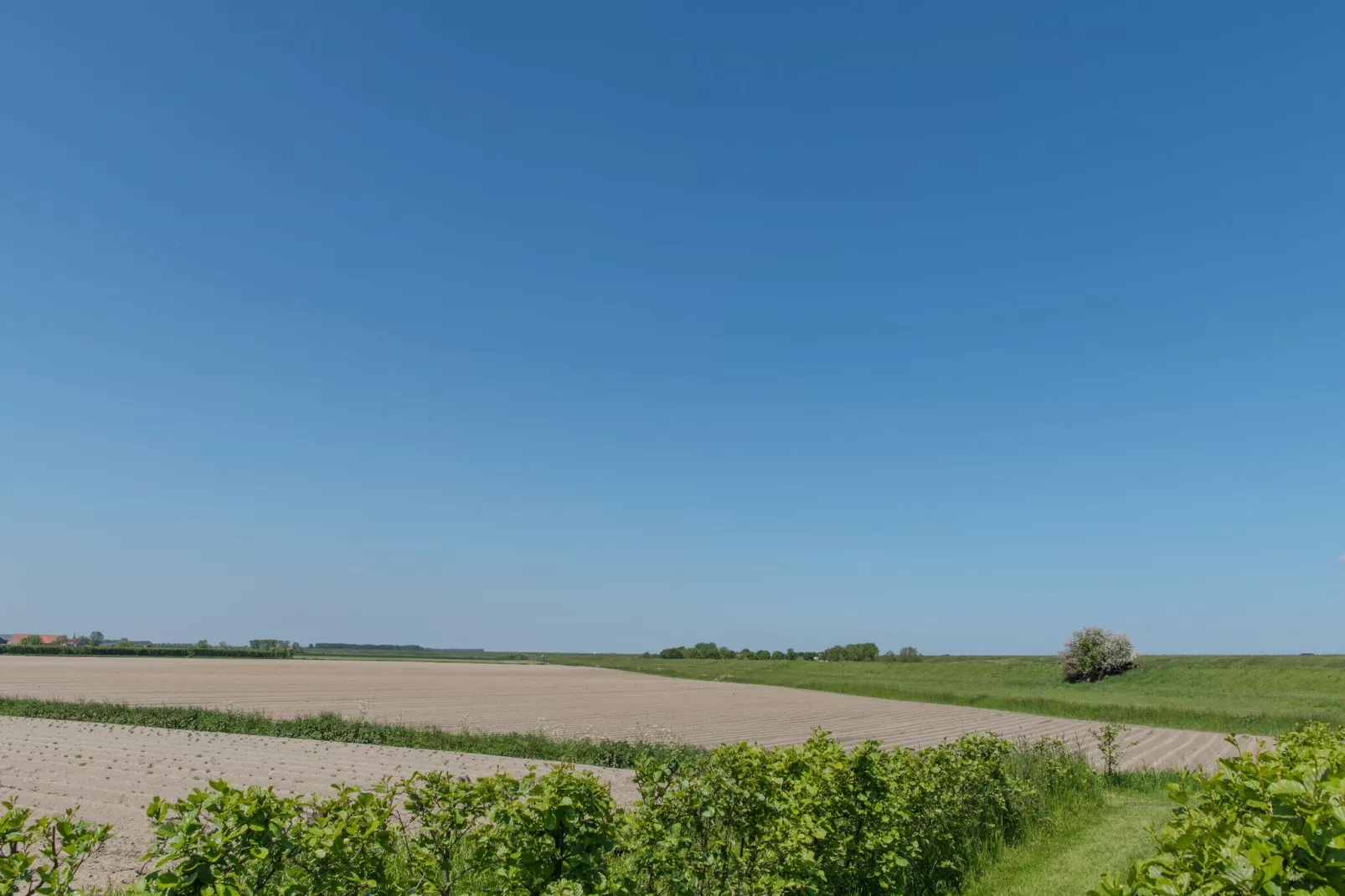 Water Resort Oosterschelde 47A-Areas summer 1km
