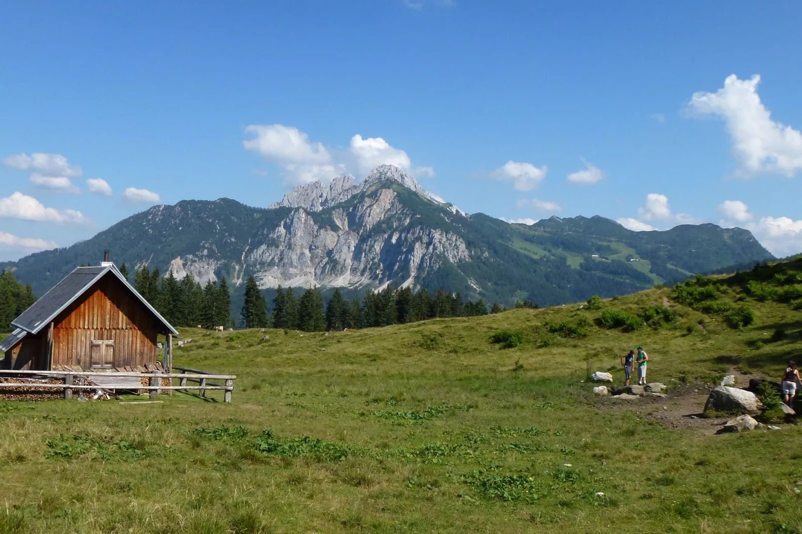 Haus Tröpolach-Areas summer 20km