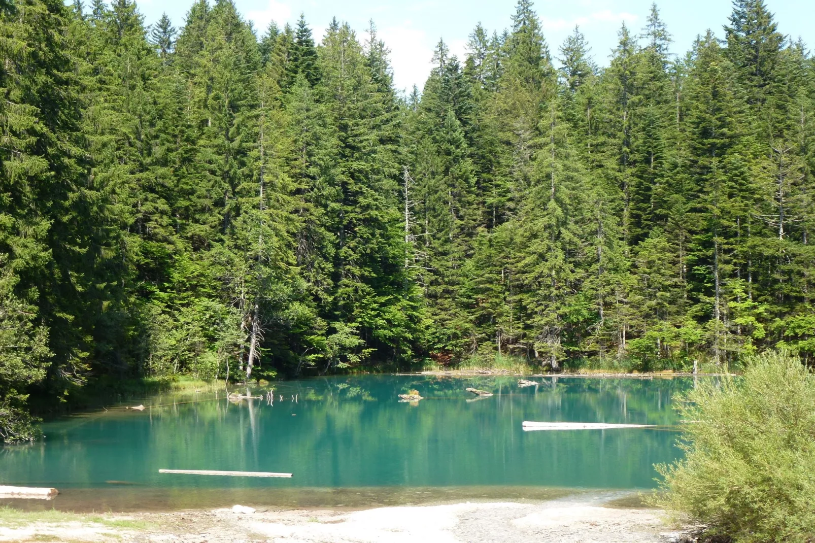 Haus Tröpolach-Areas summer 20km