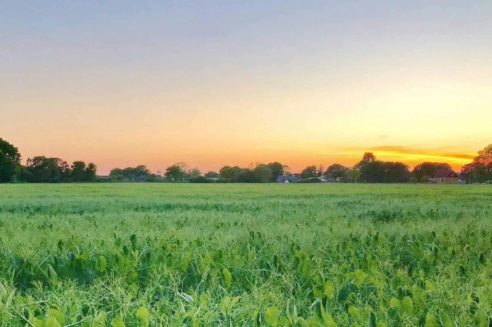 4 star holiday home in SÖLVESBORG-By Traum