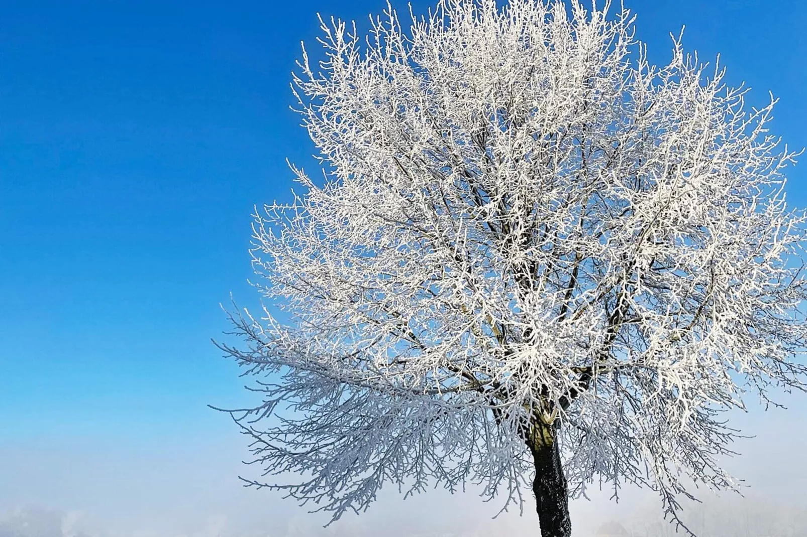 4 star holiday home in SÖLVESBORG-By Traum-Outdoor