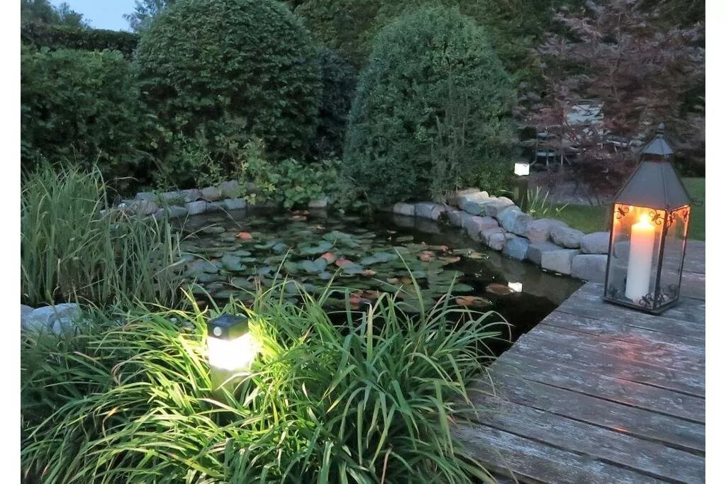 11130-Gardens summer