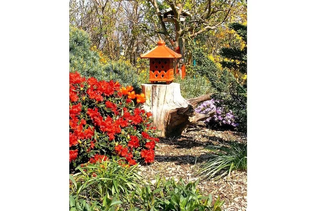 11130-Gardens summer