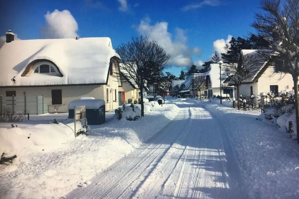 exteriorwinter