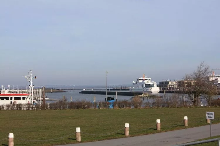 282571-View