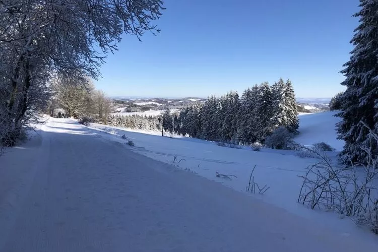 275990-Nicht getaggt