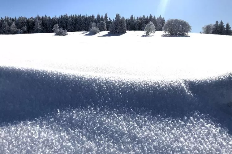 275990-Nicht getaggt