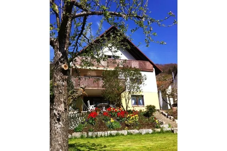 297793-Vue