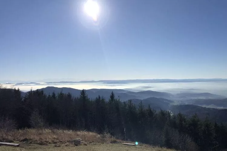 289714-View