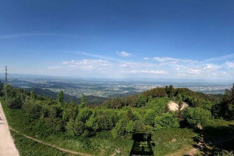 289714-View