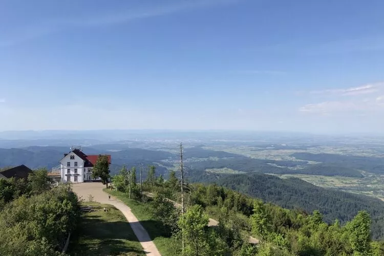 289714-View