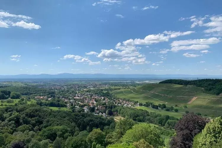 289714-View