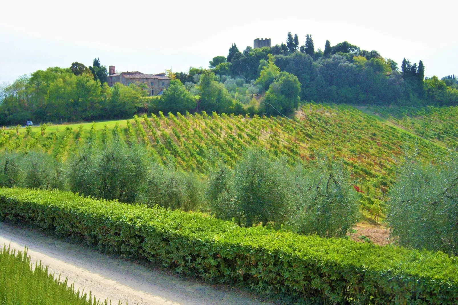 Il Poggiale-apt 9-Areas summer 1km