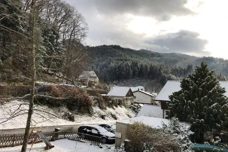 289714-View